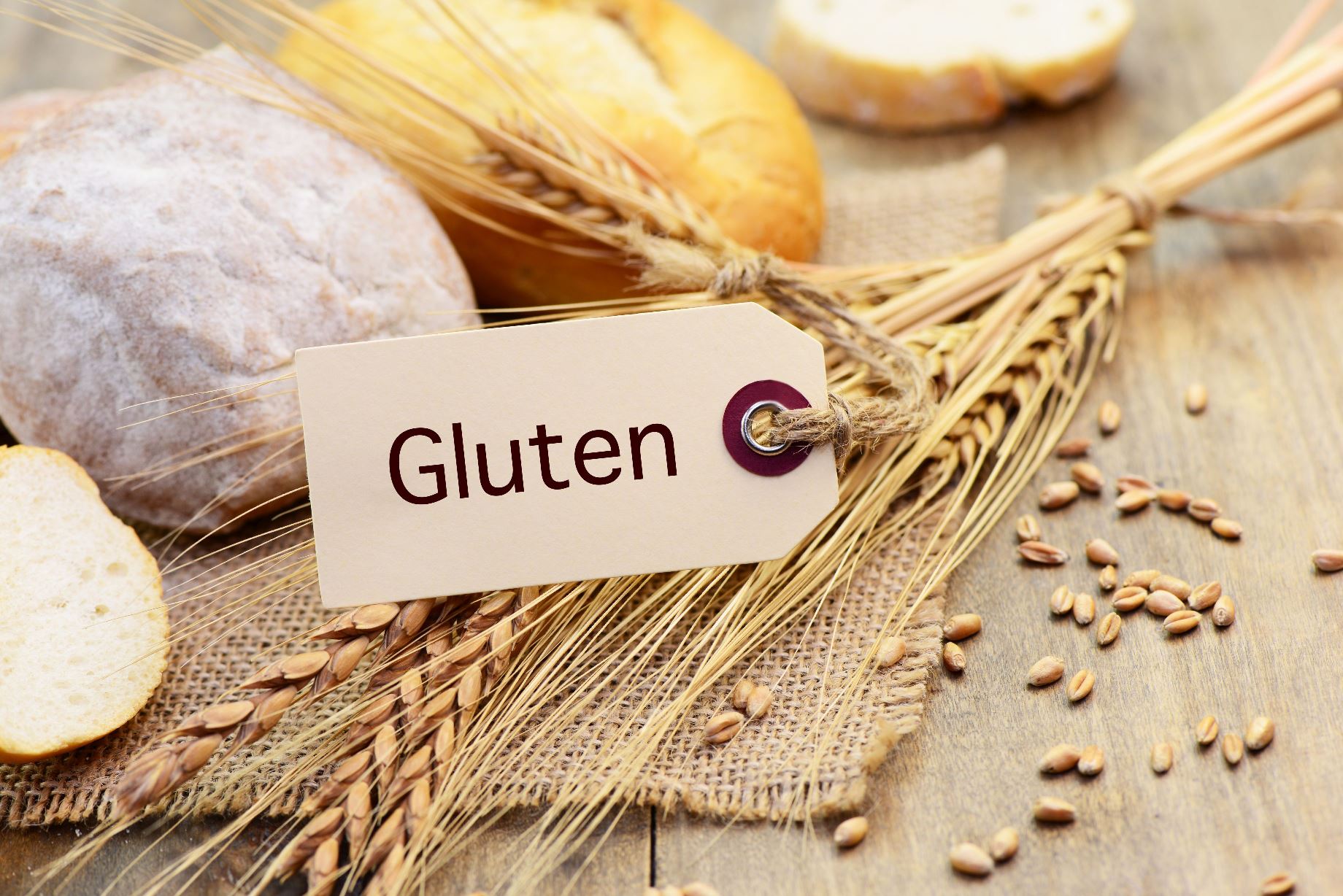 Why Gluten is Bad For Health,10 Harmful Effects,Gluten-free Diet