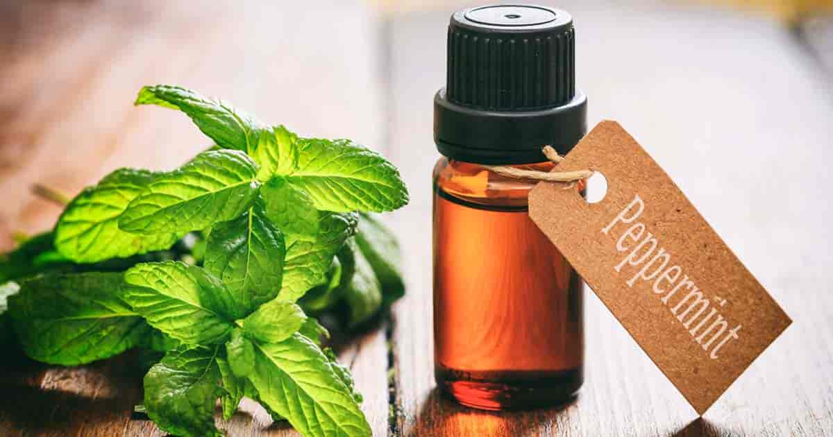 What are the Essential Oils for Pain and Inflammation
