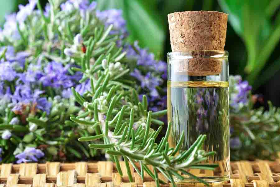 Essential Oils for Pain and Inflammation