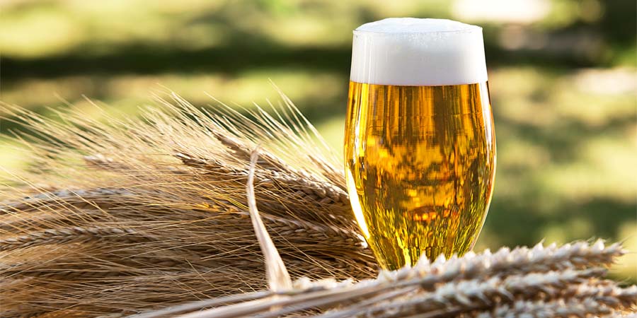What are The Types of Beer and Their Ingredients