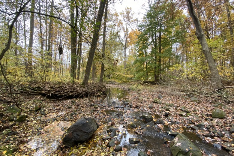 27 Bodies Found in Pennsylvania Woods